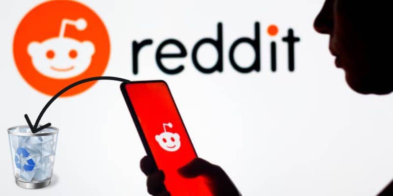 How to Delete Reddit History? (Search, Posts, and Comments)