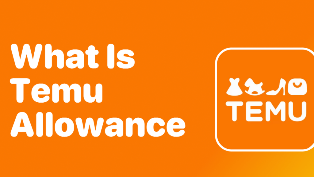 What Does Allowance Mean on TEMU