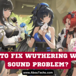 HOW TO FIX WUTHERING WAVES SOUND PROBLEM?